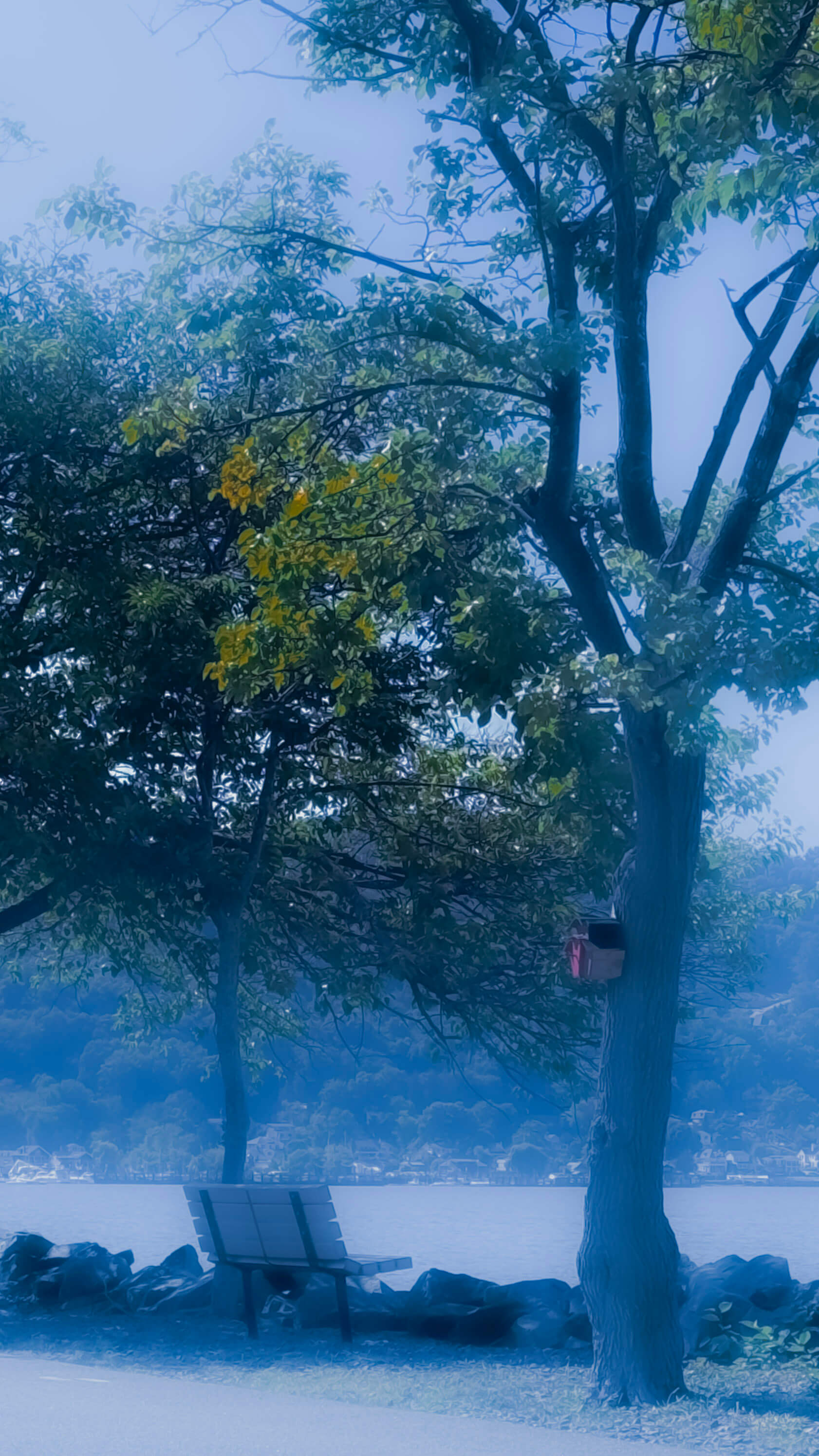Naturaleza 3