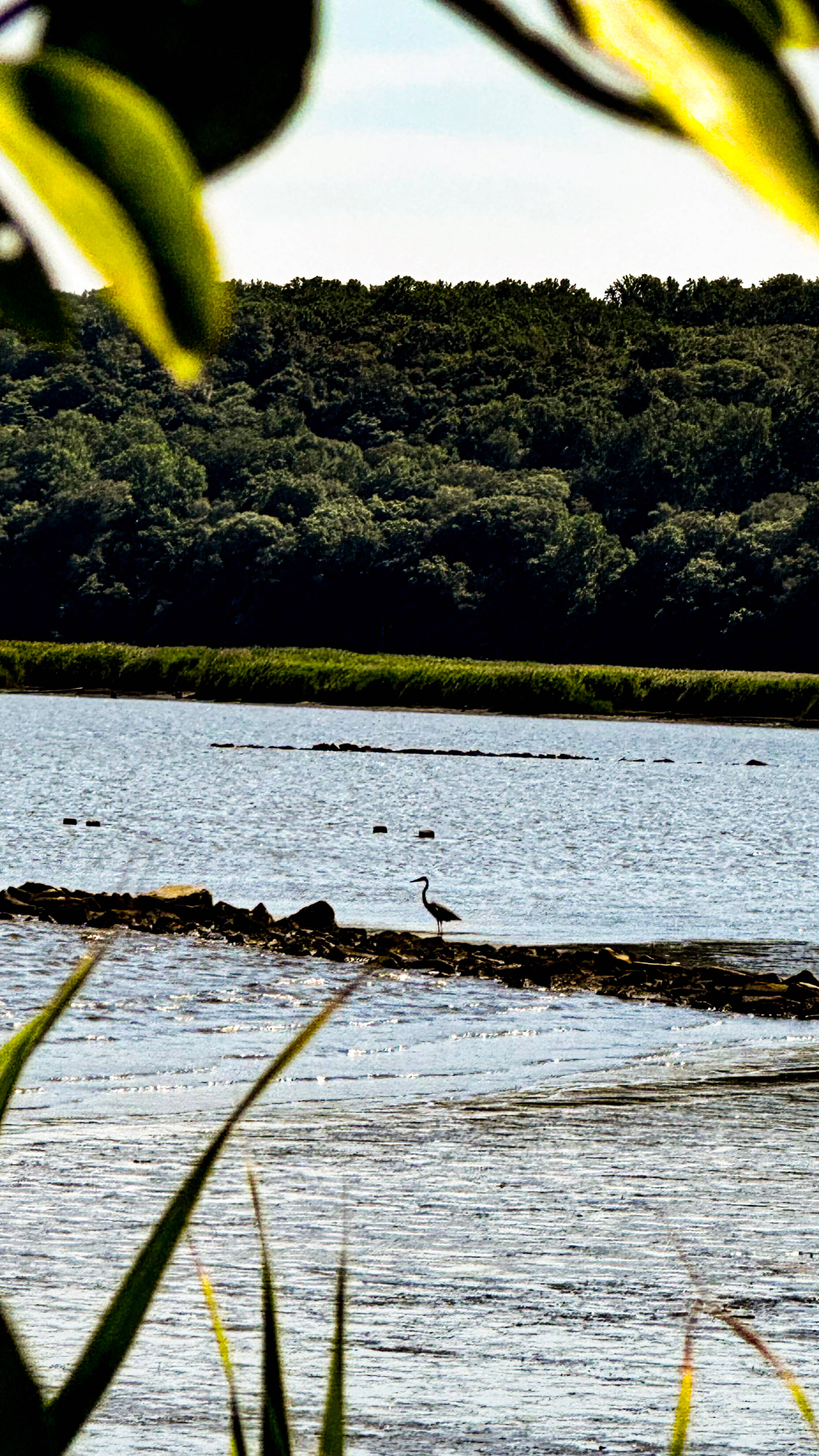 Naturaleza 4