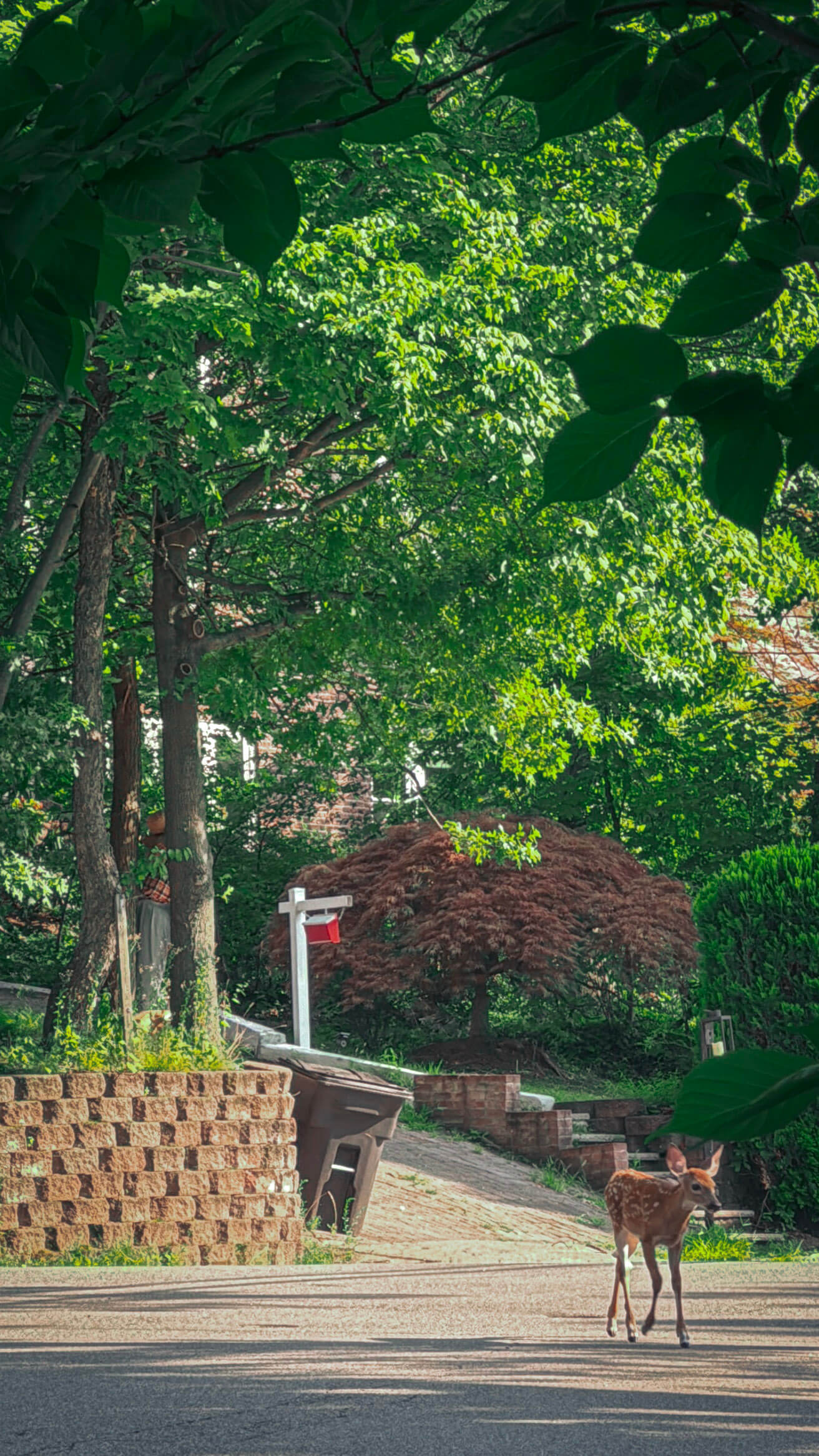 Naturaleza 7
